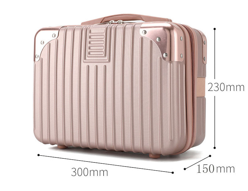 ABS Business Case Luggage