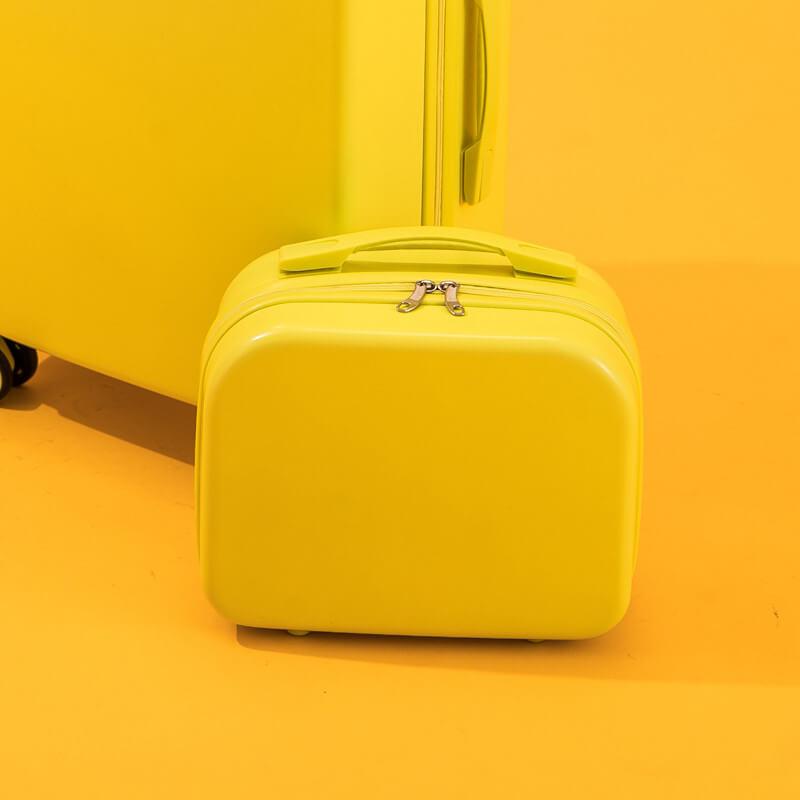 Custom Minin Cosmetic Luggage Case