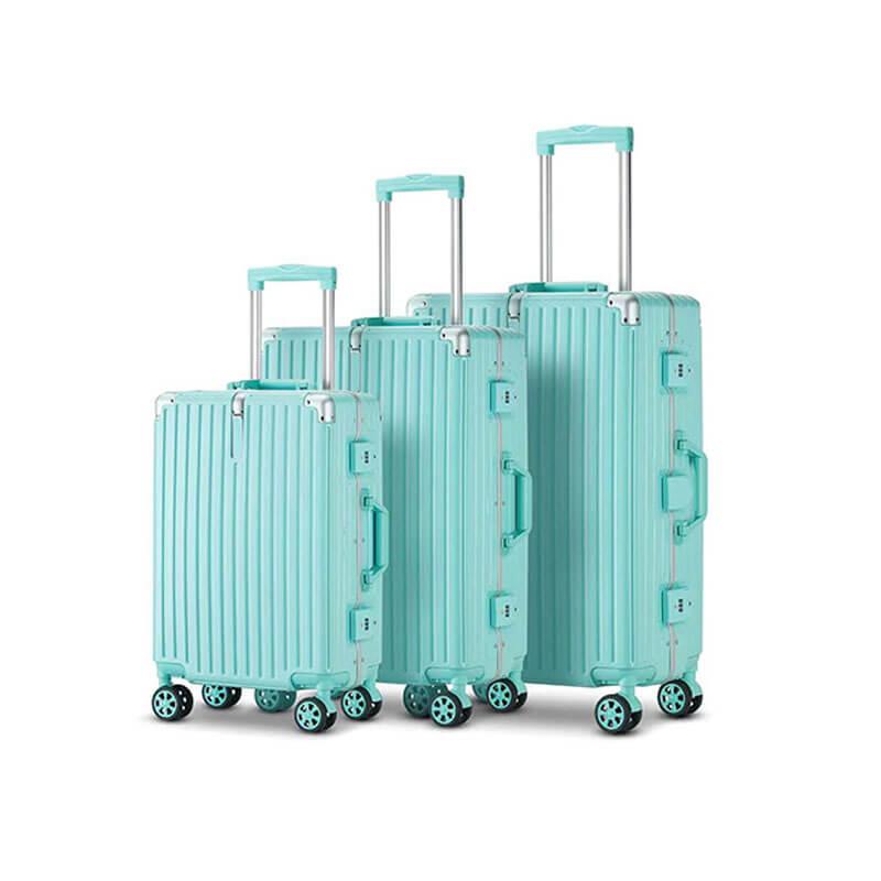 Custom Travel Trolley Suitcase